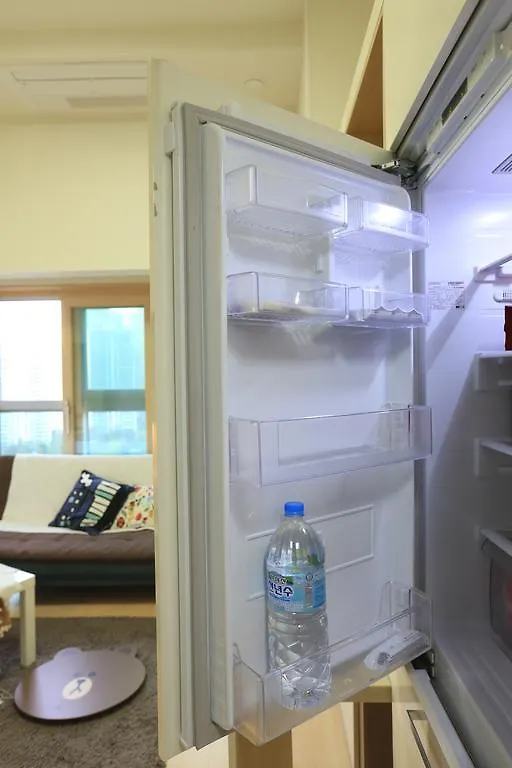 Lotte World Lake View Loft Seoul Apartment